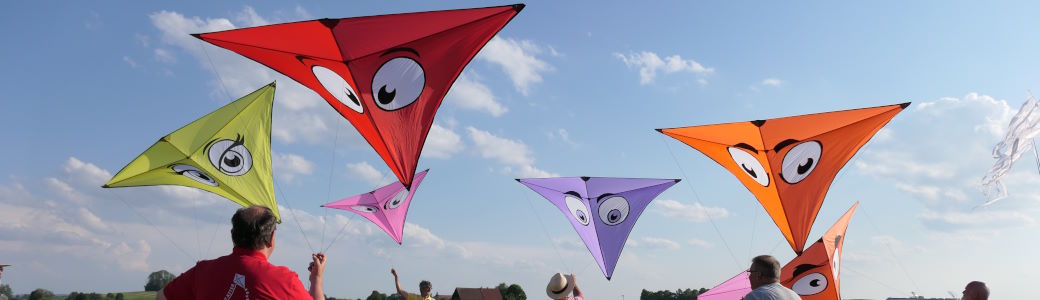 Banner Drachenfestinfo